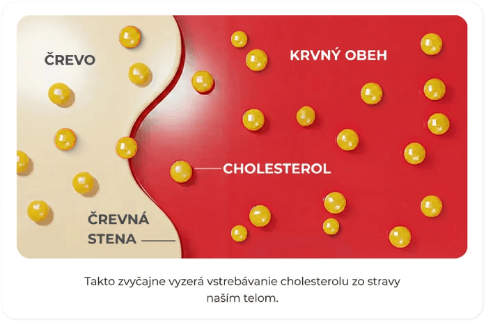Vstrebávanie cholesterolu