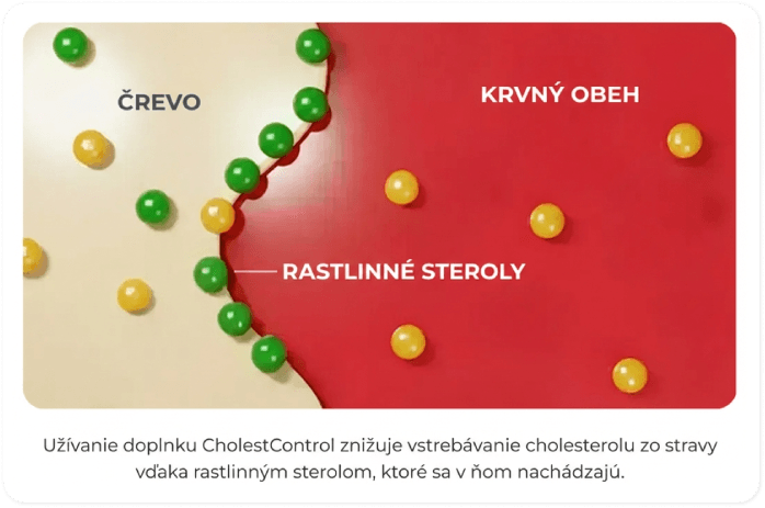 Blokovanie cholesterolu sterolmi